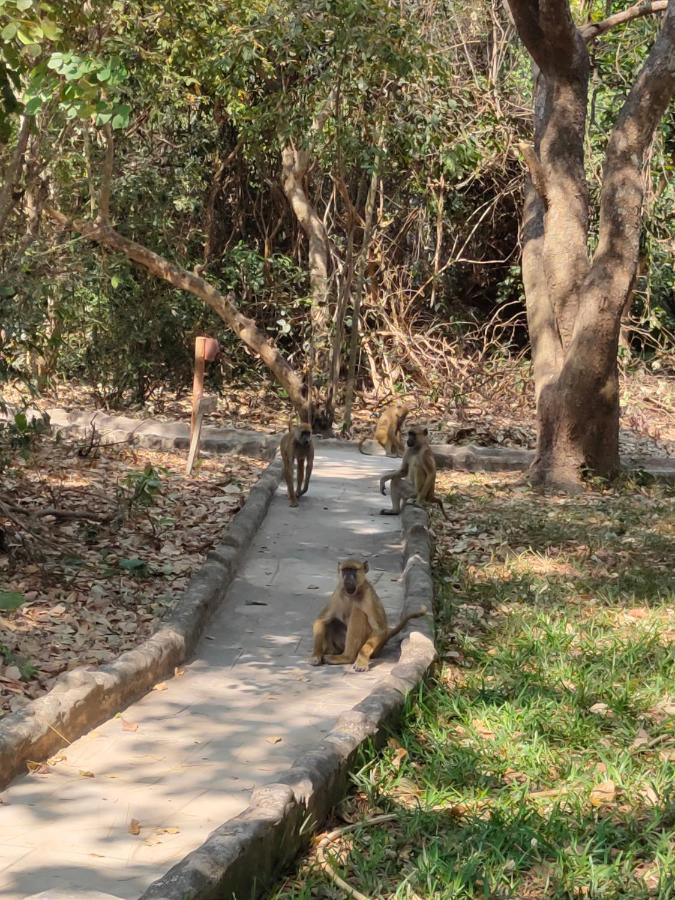 Selous Kinga Lodge Kwangwazi Kültér fotó