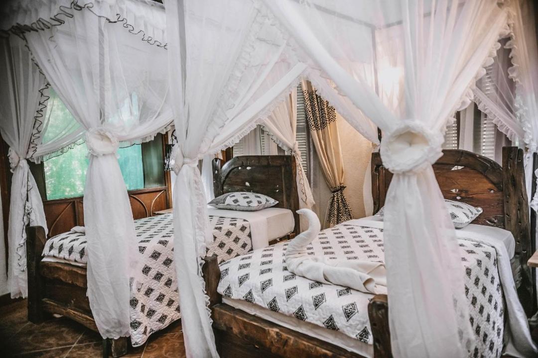 Selous Kinga Lodge Kwangwazi Kültér fotó