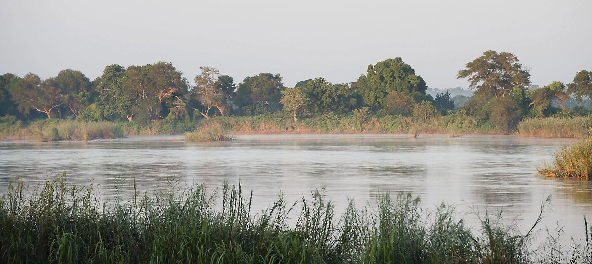 Selous Kinga Lodge Kwangwazi Kültér fotó